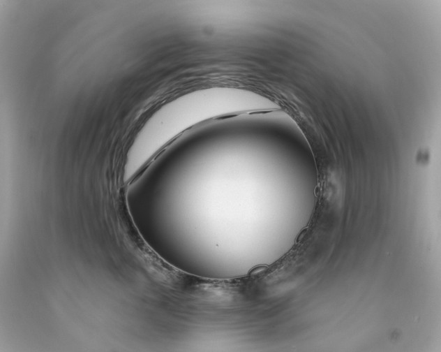 X0000091470763200709061818