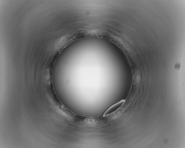 X0000091470764200709061818