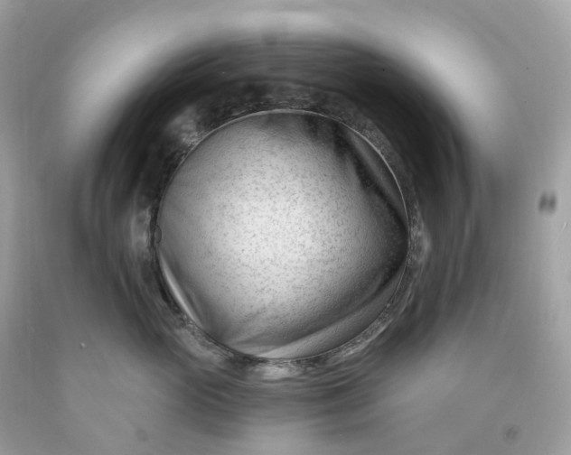 X0000091470765200709061818