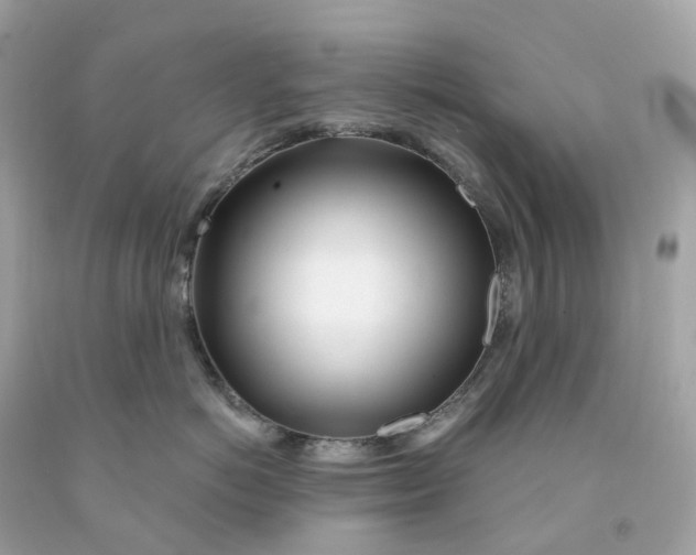 X0000091470766200709061818