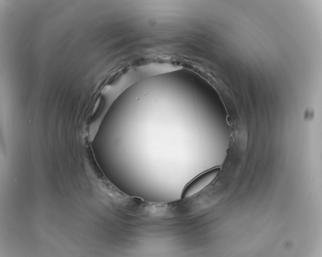 X0000091470767200709061818