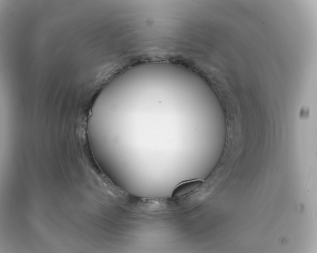 X0000091470768200709061818