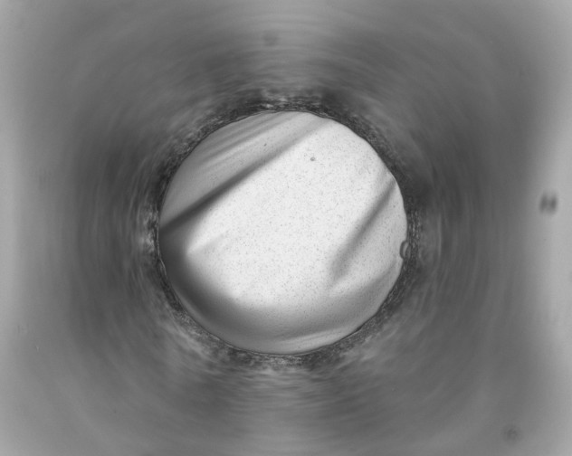 X0000091470770200709061818