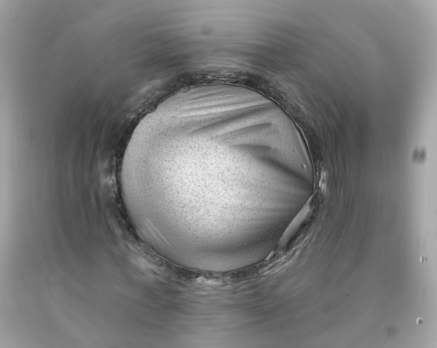 X0000091470771200709061818