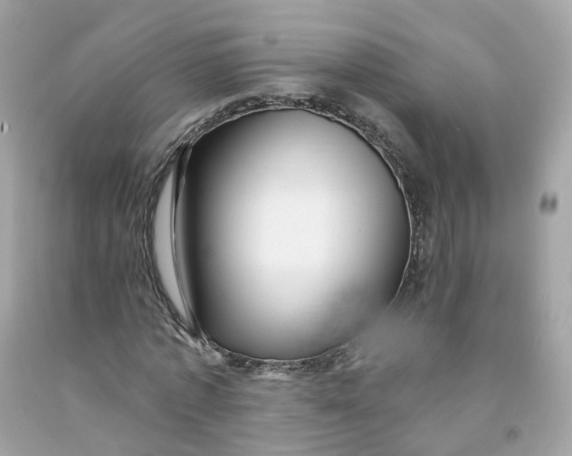 X0000091470773200709061817