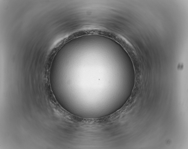 X0000091470775200709061817