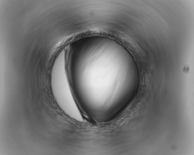 X0000091470776200709061817