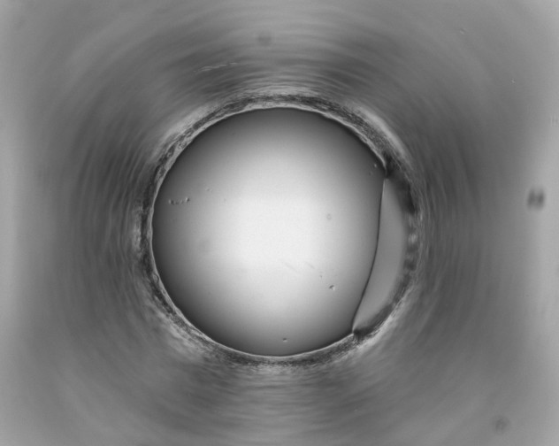 X0000091470777200709061817