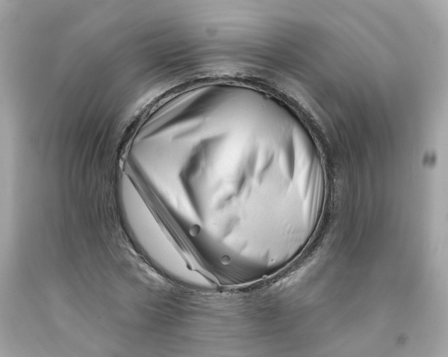 X0000091470778200709061817