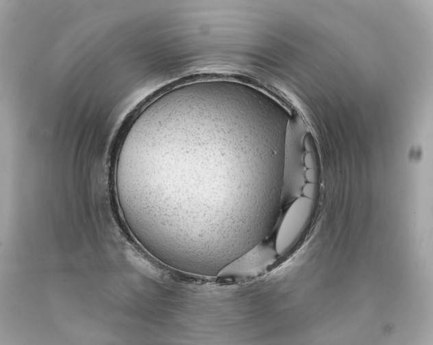 X0000091470779200709061817