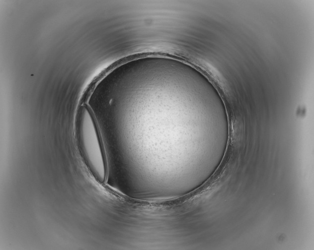 X0000091470780200709061817