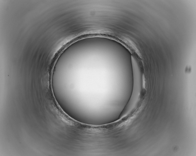 X0000091470781200709061817