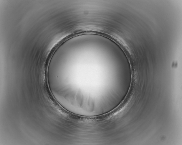 X0000091470782200709061817