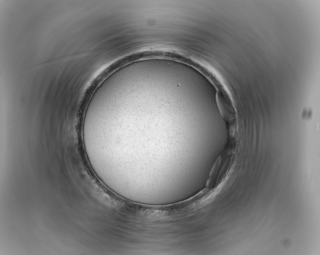 X0000091470783200709061817