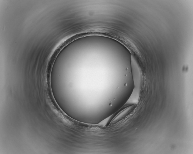 X0000091470784200709061817