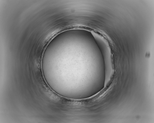 X0000091470785200709061817