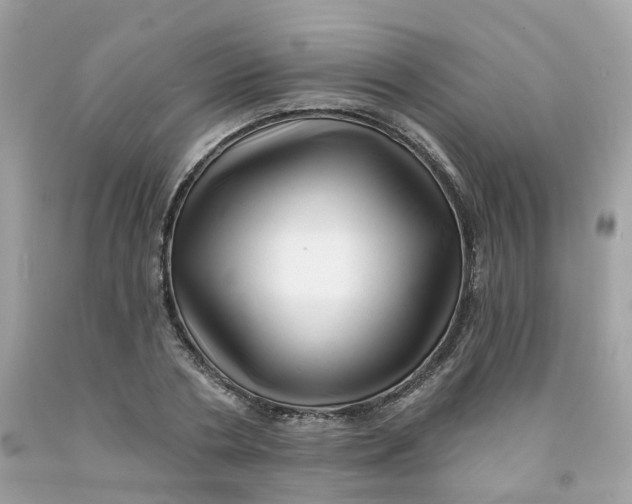 X0000091470786200709061817