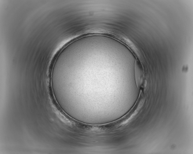 X0000091470787200709061817