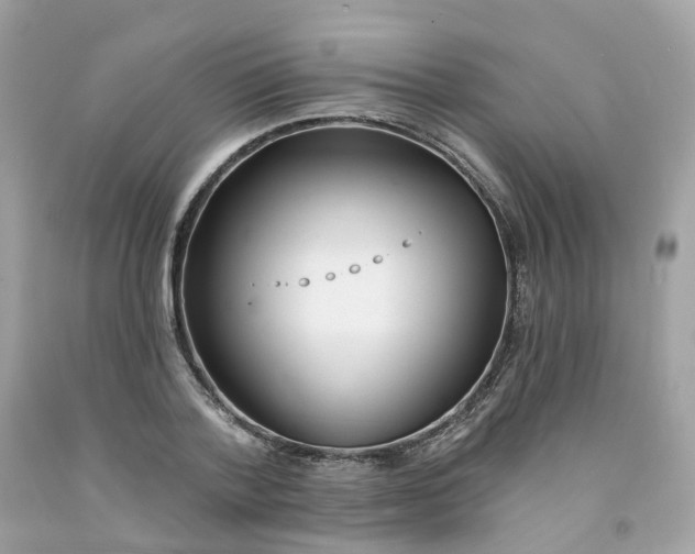 X0000091470788200709061817