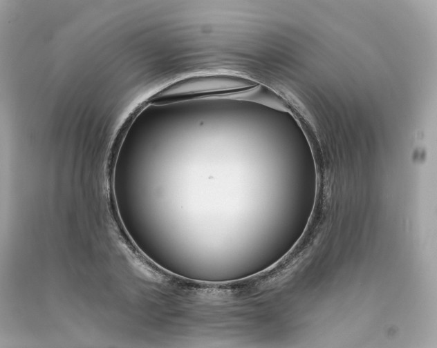 X0000091470789200709061817