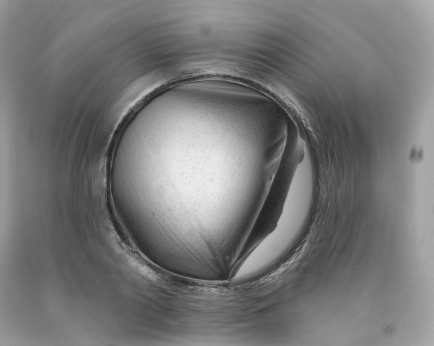 X0000091470790200709061817