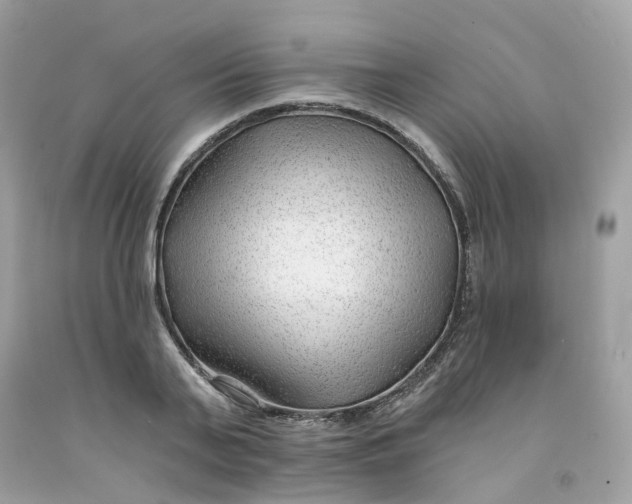 X0000091470791200709061817