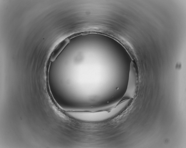 X0000091470792200709061817