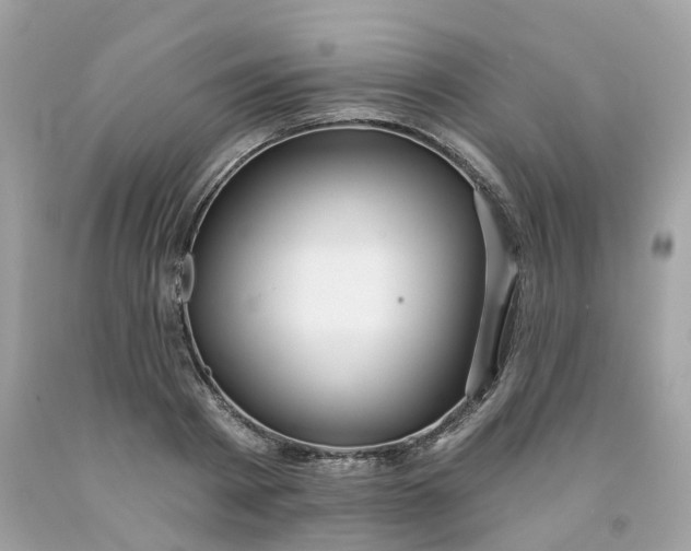 X0000091470793200709061817