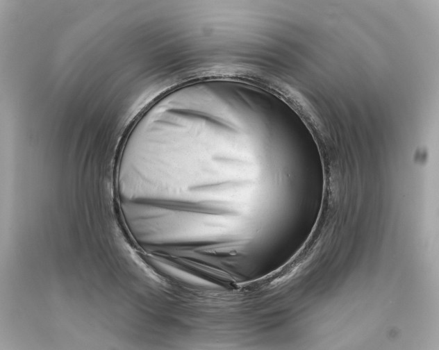 X0000091470794200709061817