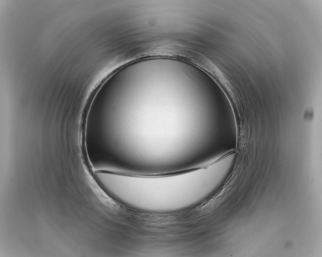 X0000091470795200709061817