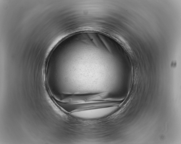 X0000091470796200709061817