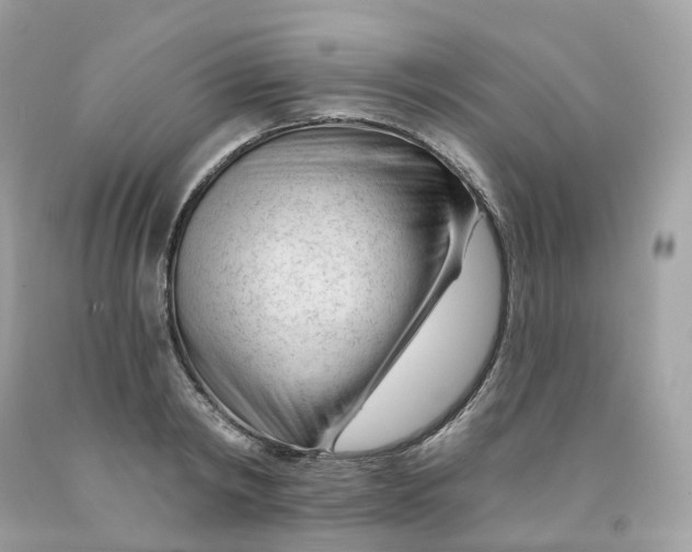 X0000091470798200709061817