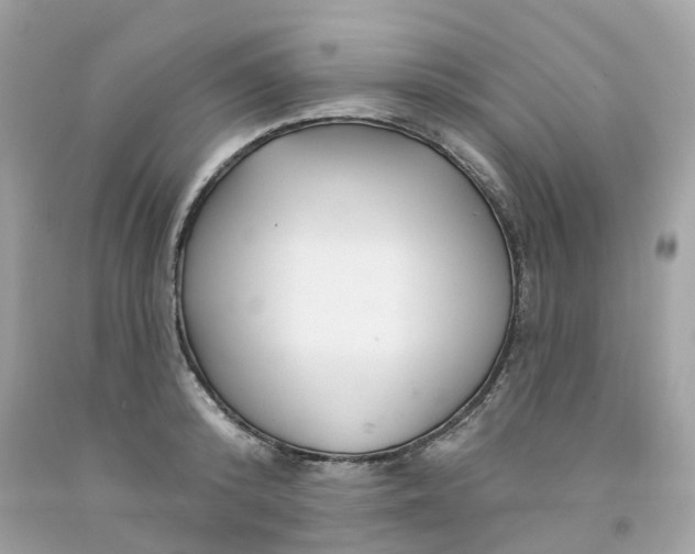 X0000091470800200709061817