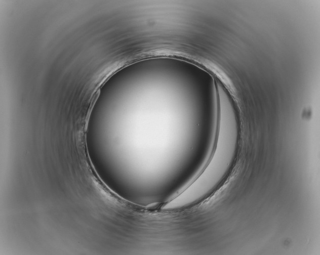 X0000091470801200709061817