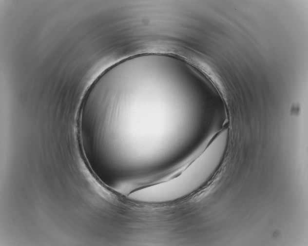 X0000091470803200709061817