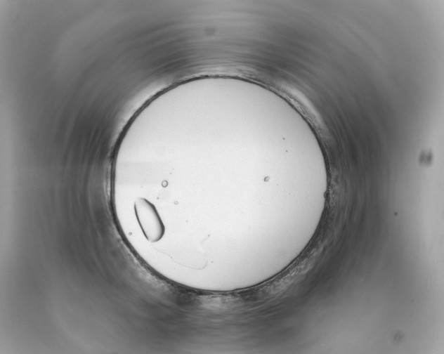 X0000091470804200709061817