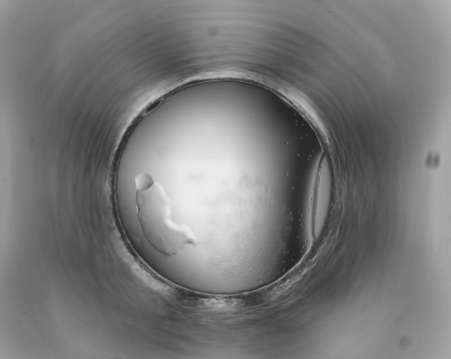 X0000091470805200709061817