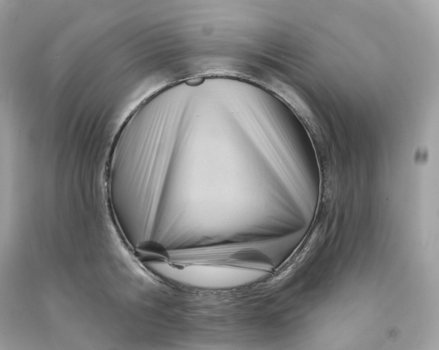 X0000091470806200709061817