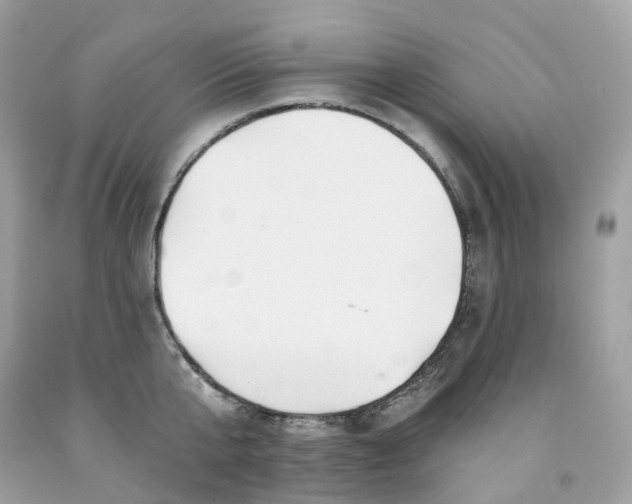 X0000091470807200709061817