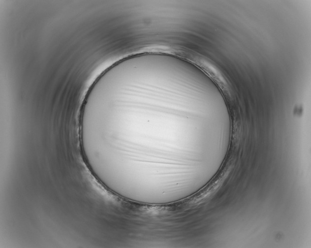 X0000091470808200709061817