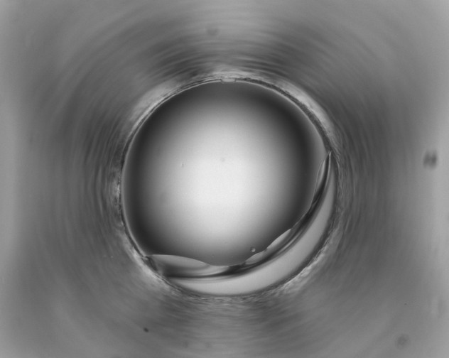 X0000091470809200709061817