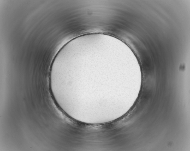 X0000091470810200709061817