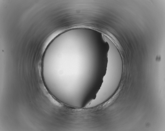 X0000091470812200709061817