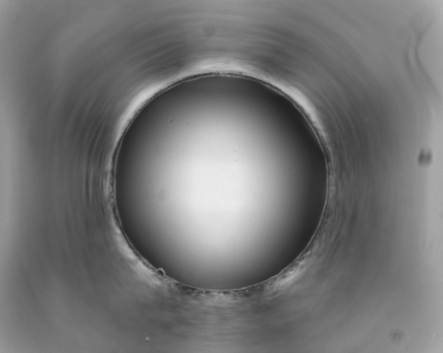 X0000091470815200709061817