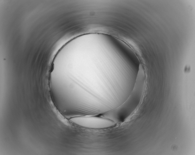 X0000091470816200709061817