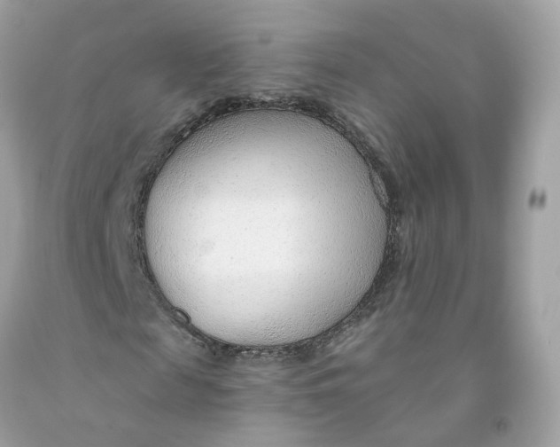 X0000091470817200709061816