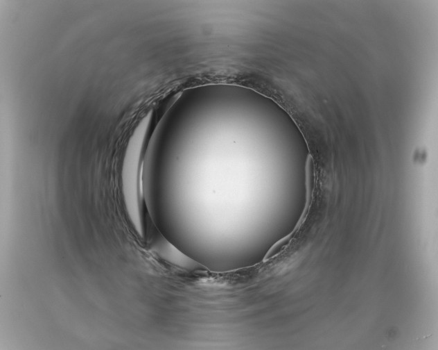 X0000091470818200709061816