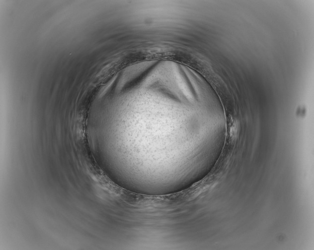 X0000091470819200709061816