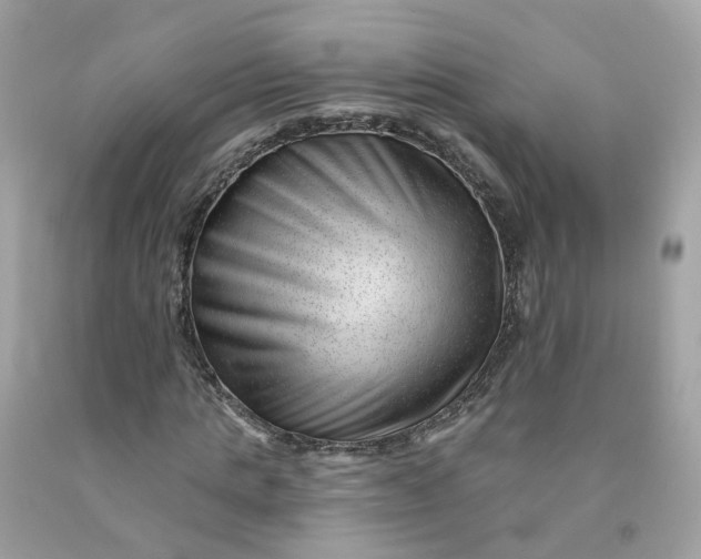 X0000091470821200709061816