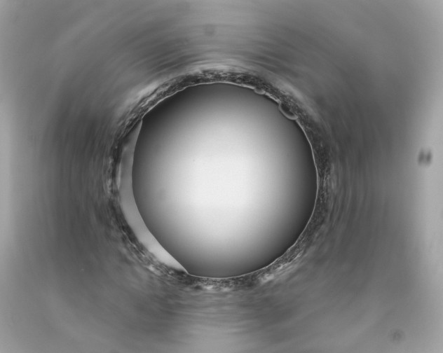 X0000091470822200709061816